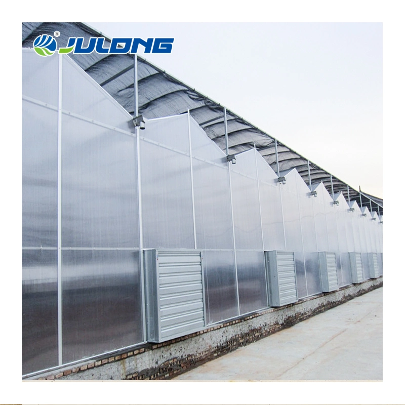 Low Cost Agricultural Commercial Venlo Polycarbonate Sheet Multi-Span Greenhouse with Hydroponic System for Vegetables/Strawberry/Tomato/Flowers