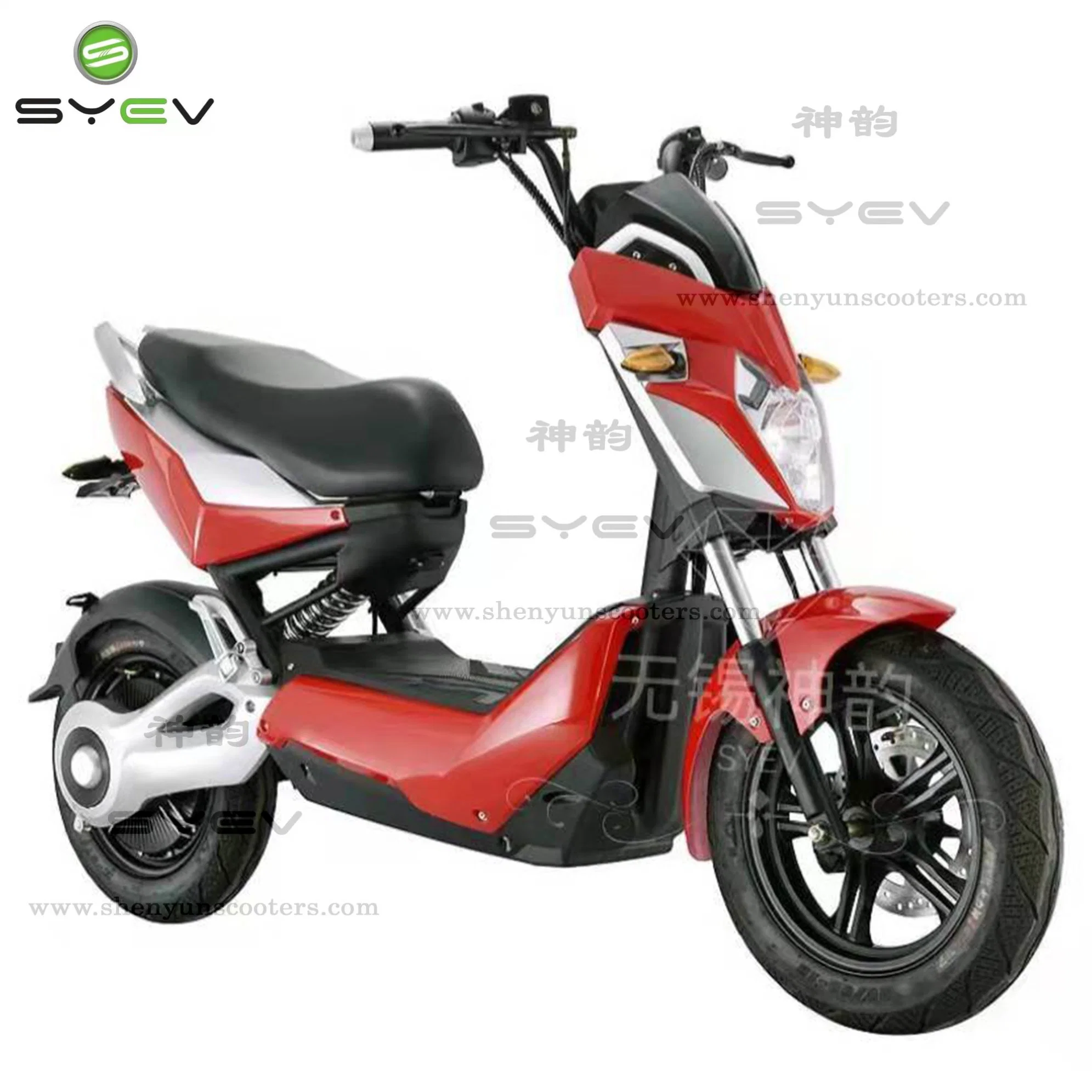 China Wholesales 2022 Nuevo Modelo Ecorider 1500W de 12 pulgadas de largo alcance de la carretera Ciudad de dos ruedas Scooter con neumáticos de la grasa de la montaña no abatible Dirt Bike eléctrica