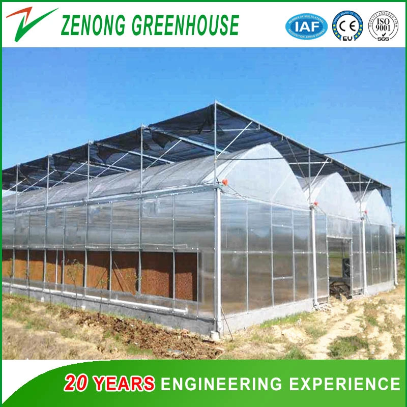 Sunlight Greenhouse with Intelligent Device for Modern Agriculture Seed Breeding Cultivation