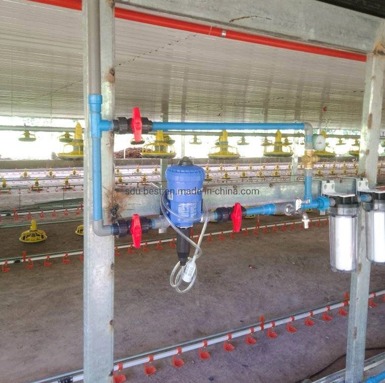 Neues Design Hühnerstall Fütterungssystem Broiler Geflügel Farm Ausrüstung Automatische Hühnerzuführung