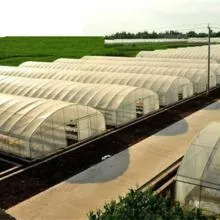 Low Tunnel Greenhouse 8m*10m Strawberry Tunnel Cheap Greenhouse Supplies