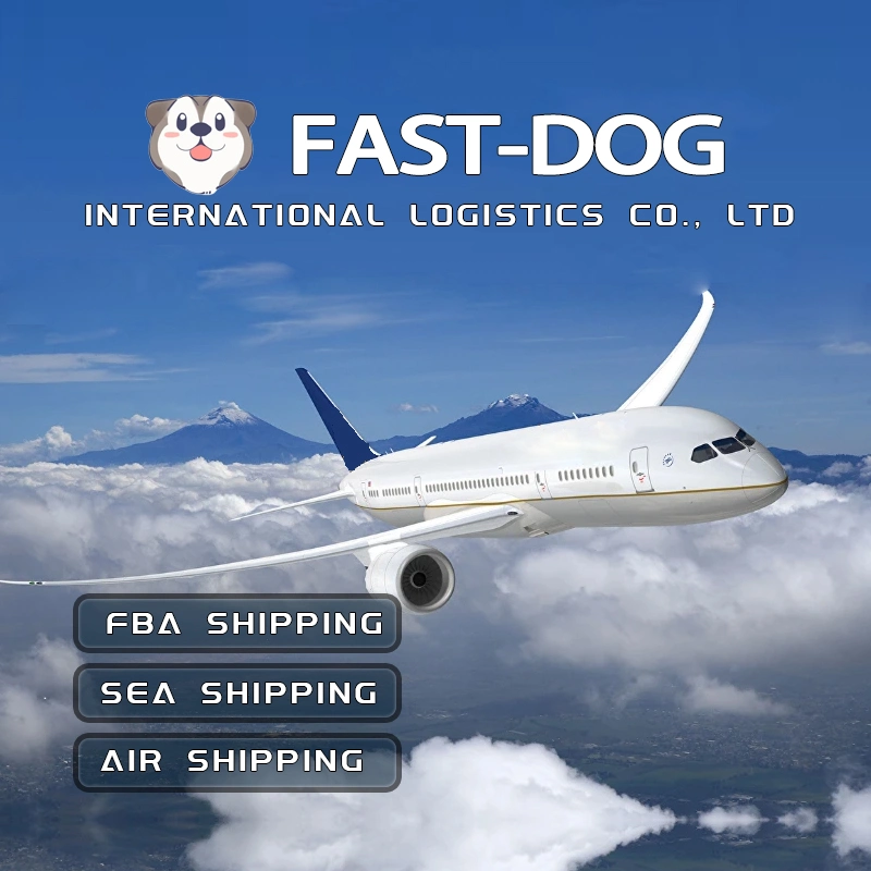 Door to Door Service International Freight Forwarder Company Air Shipping China nach Großbritannien Deutschland Niederlande Italien Frankreich Spanien USA