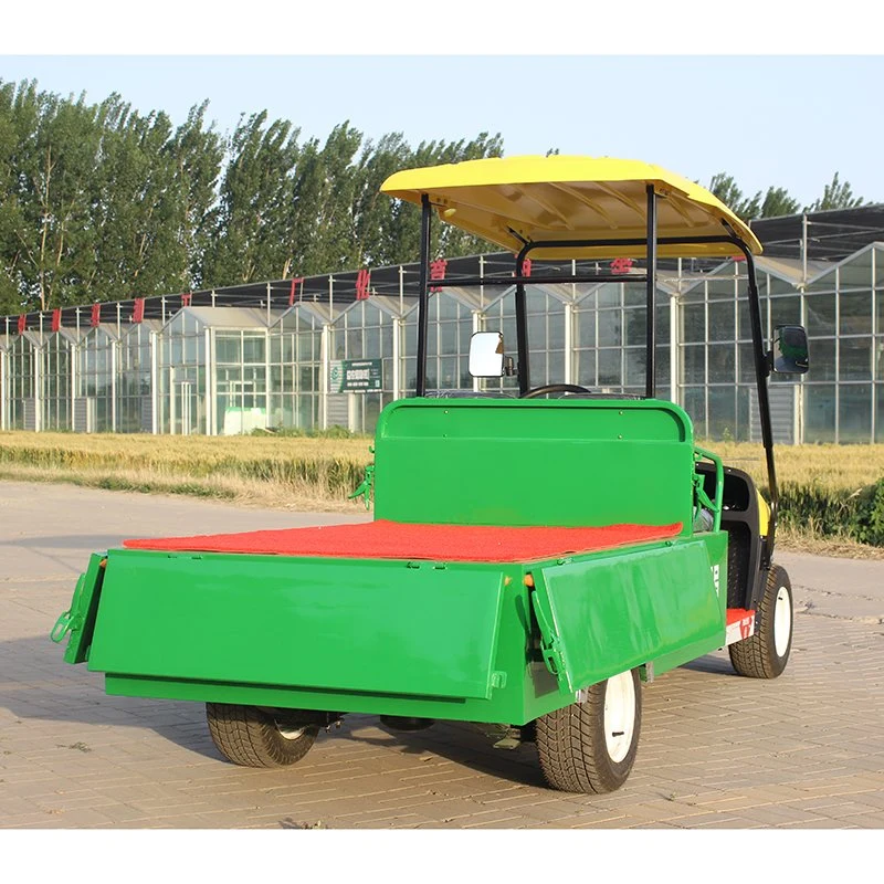 China Manufacturer Cheap 2 Seat Electric Golf Car with Cargo Bucket