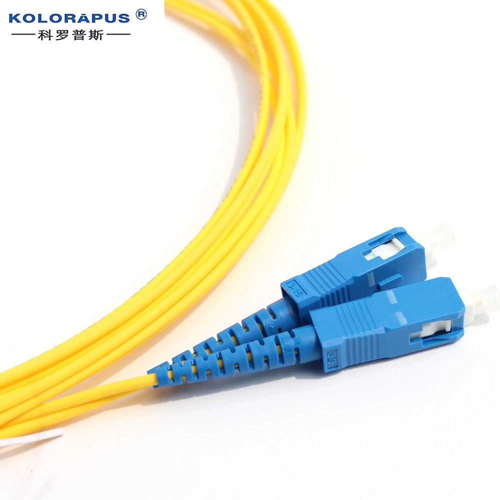 Sc-Sc Single Mode Duplex Fiber Optic Patch Cord Optical Jumper 3m