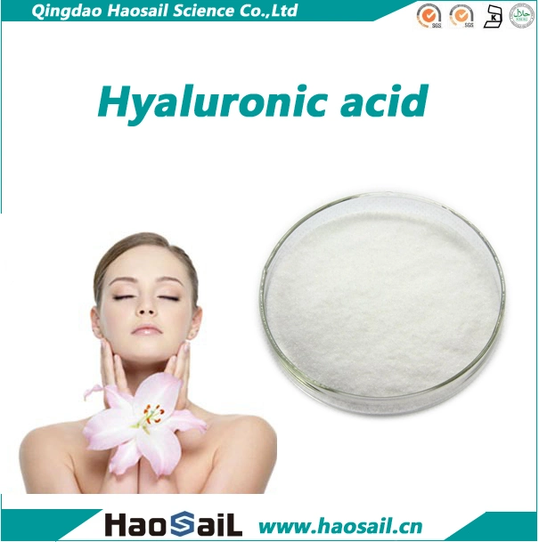 Superior Quality Beauty Product Food Grade and Cosmetic Grade Sodium Hyaluronate