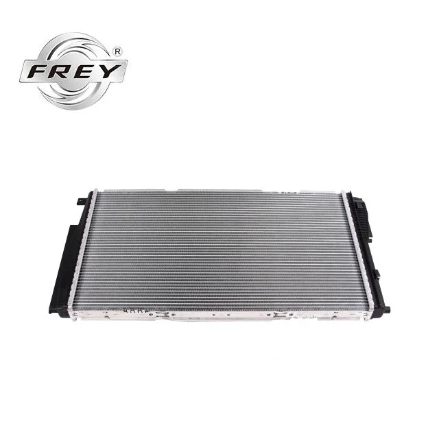 Auto Accessory Radiator Water Tank 17117600516 for F20 F21 Aluminum Brazing Radiator Auto Parts