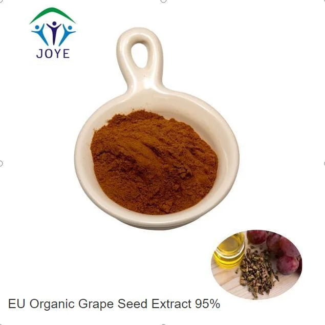 Venda a quente Proanthocyanidins UE de uva orgânico extrato de sementes 95%