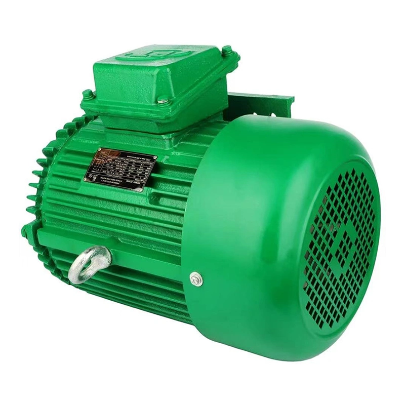 NEMA Standard 1200rpm Three Phase 20 HP AC Induction Electric Motor