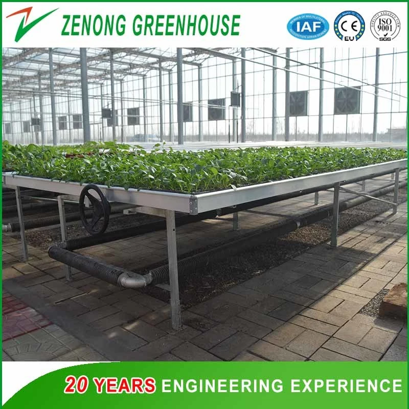 Venlo Type Agriculture Intelligent Glass Greenhouse for Planting/Experiment/Eco Restaurant/Exhibition