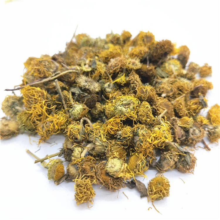 Xuan Fu Hua Flor natural China dreid inula Japónica Flores Para Herb