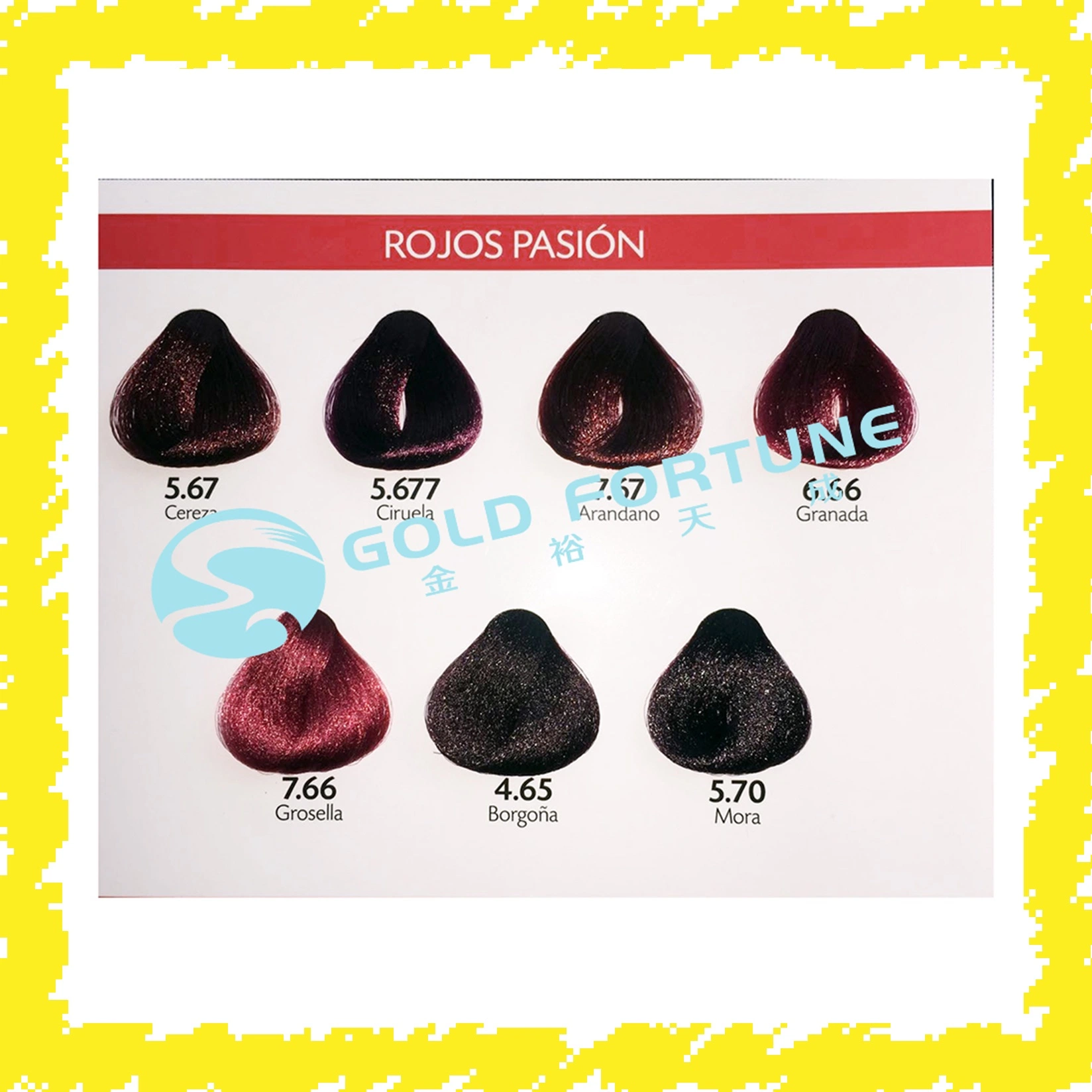 Wholesale/Supplier Salon Hair Colour Chart Kit