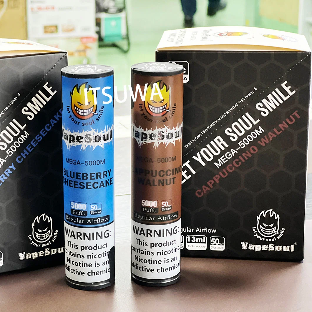 Mega Vapeosul 5000bouffées de fumée Cigarros jetables Didposable Vape VAB E-Papierosy bouffées