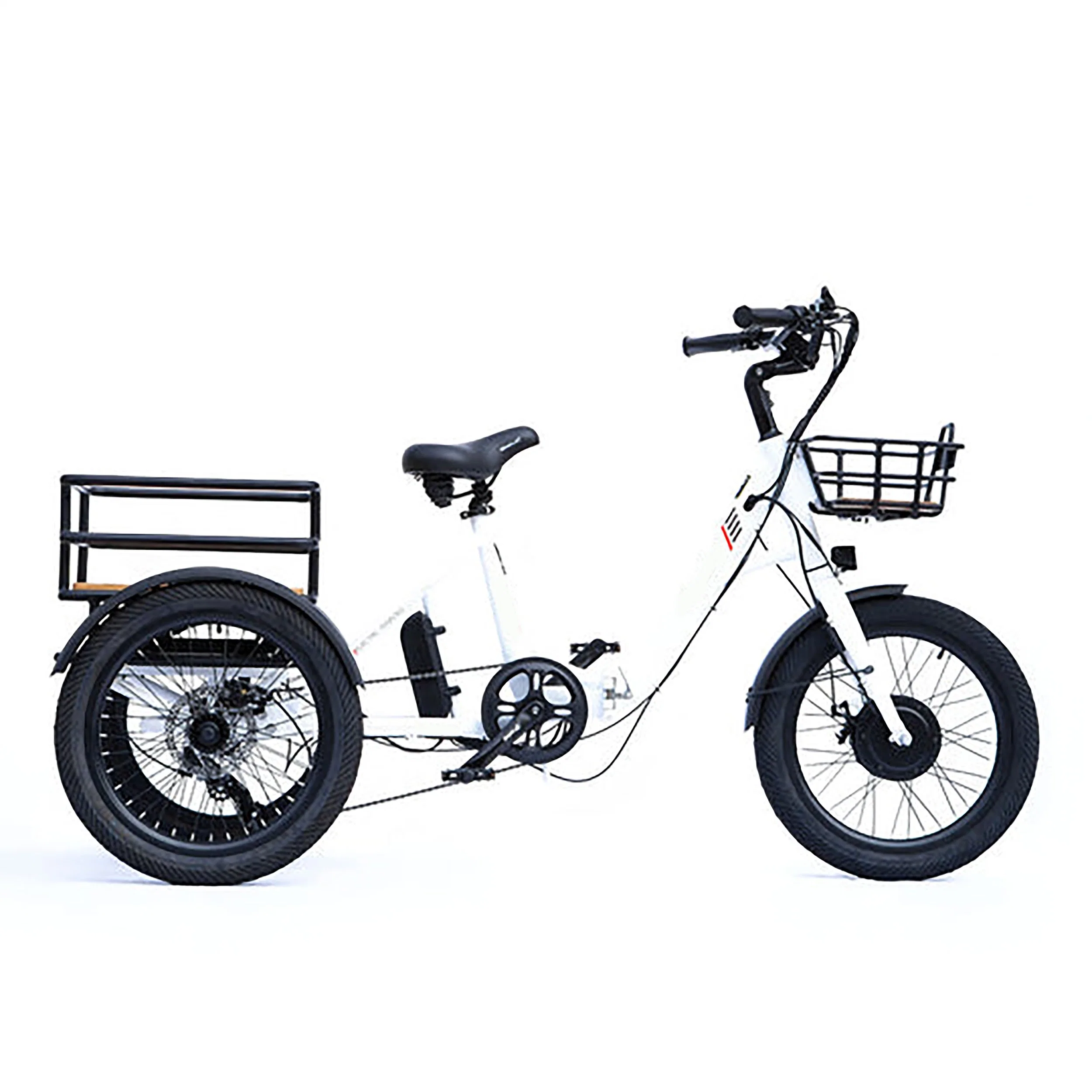 Bicicleta eléctrica plegable 750W 1000W Motor E-bicicleta adultos plegable eléctrico Bicicleta