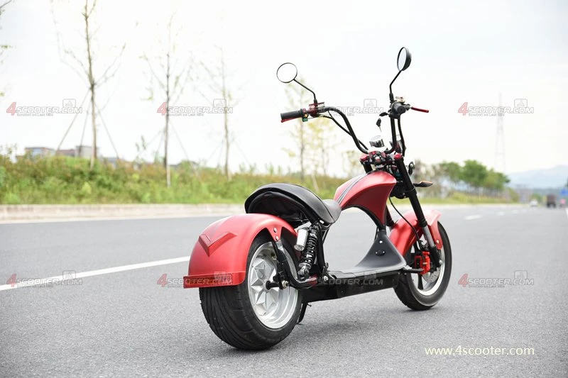 Nuevo tipo de 2000W CEE motocicleta eléctrica el picador Citycoco Scooter