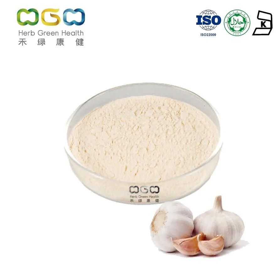 China Manufacturer Wholesale Anti-Cancer Effects Garlic Extract Alliin 98% Powder