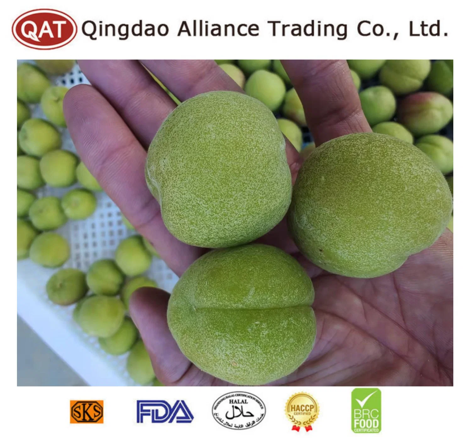 Wholesale/Supplier Bulk IQF Fruits Frozen Green Plum for Exporting with Brc Certificate