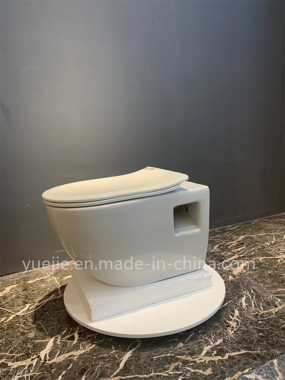 Wholesale/Supplier Sanitary Ware European Bathroom Ceramic P-Trap Washdown Rimless Wall Hung Toilet