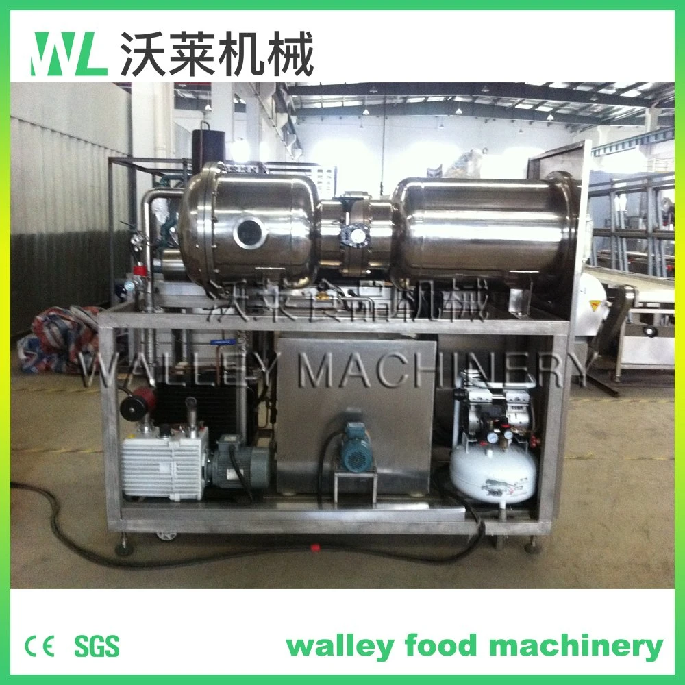 Laboratory Vacuum Freeze Drying Equipment for Experimental Use