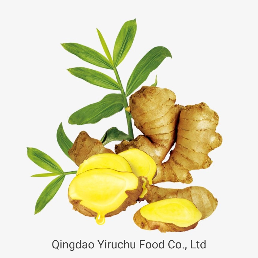 Chinese Dehydrated Vegetable Exporters Dried Ginger Slices/Ginger Dry Herbs Bulk