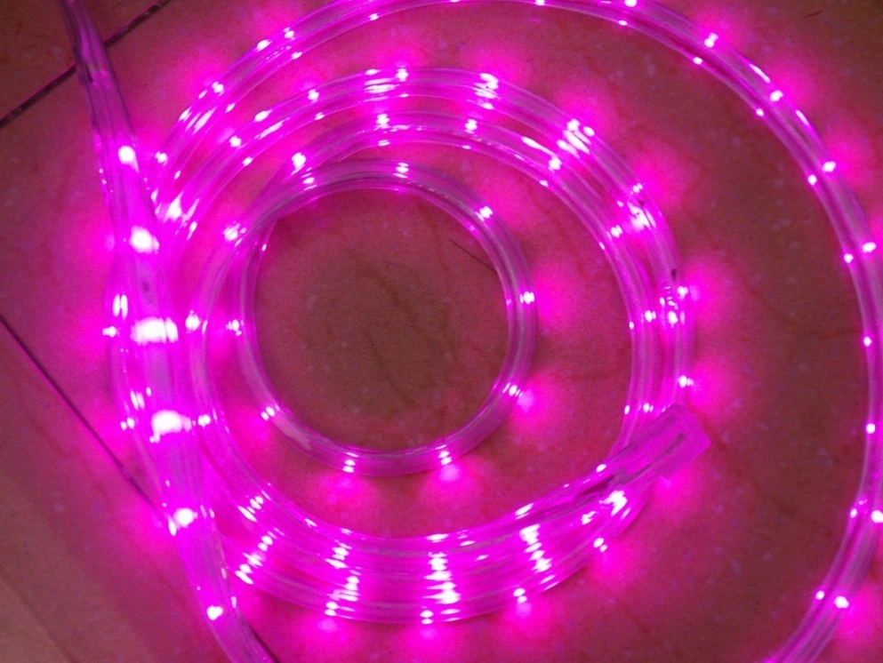 CE EMC RoHS LVD de bonne qualité de couleur rose corde souple allume la LED Strip Light