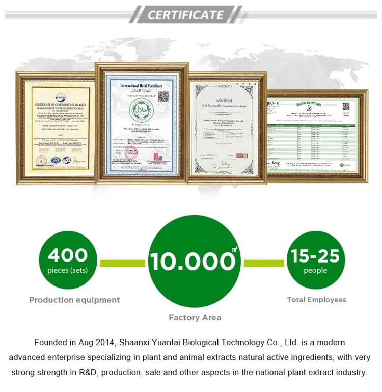 مربى الحنجرة الغذائية 99% من الفاصوليا الجراد CAS 9000-40-2 الجراد شم الفول