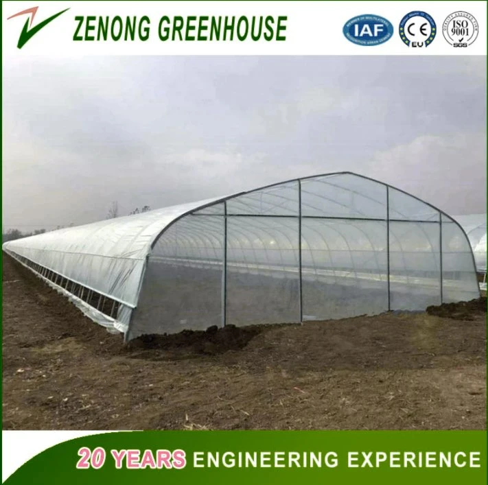 China Professional Multi-Span PE/Po Film Plastic Greenhouse for Vegetable/Crop/Flower/Fruit Planting