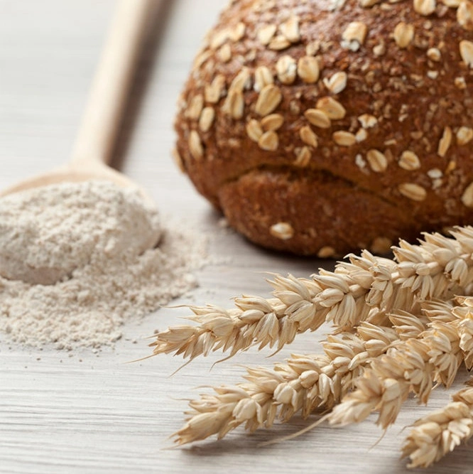 Rendimiento de alta calidad/alto costo y el gluten de trigo vital orgánicos naturales