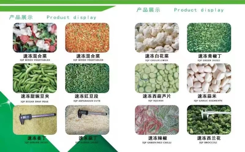 Year-Round Crop IQF Frozen Broccoli Floret Vegetables Florets Floret