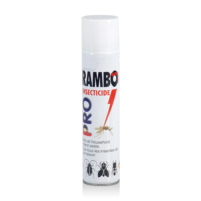 Commerce de gros 300ml Rambo spray insecticide de bonne qualité de pulvérisation pulvérisation d'insectes OEM