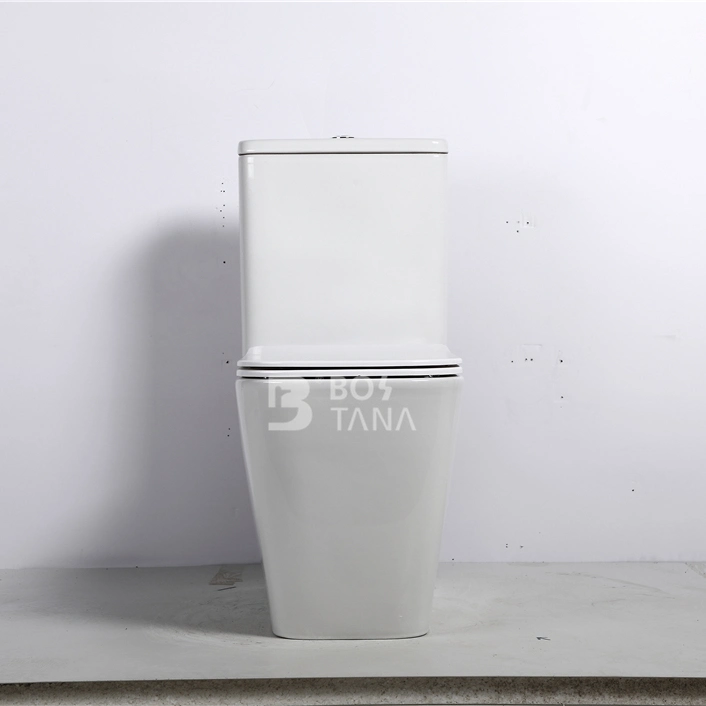 Sanitary Waresquare Design Ceramic P-Trap Two-Piece Toilet Water Saving