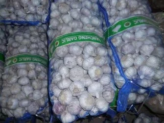 2020 New Crop Fresh Pure White Garlic Chinese Supplier High quality/High cost performance  Cheapest Price