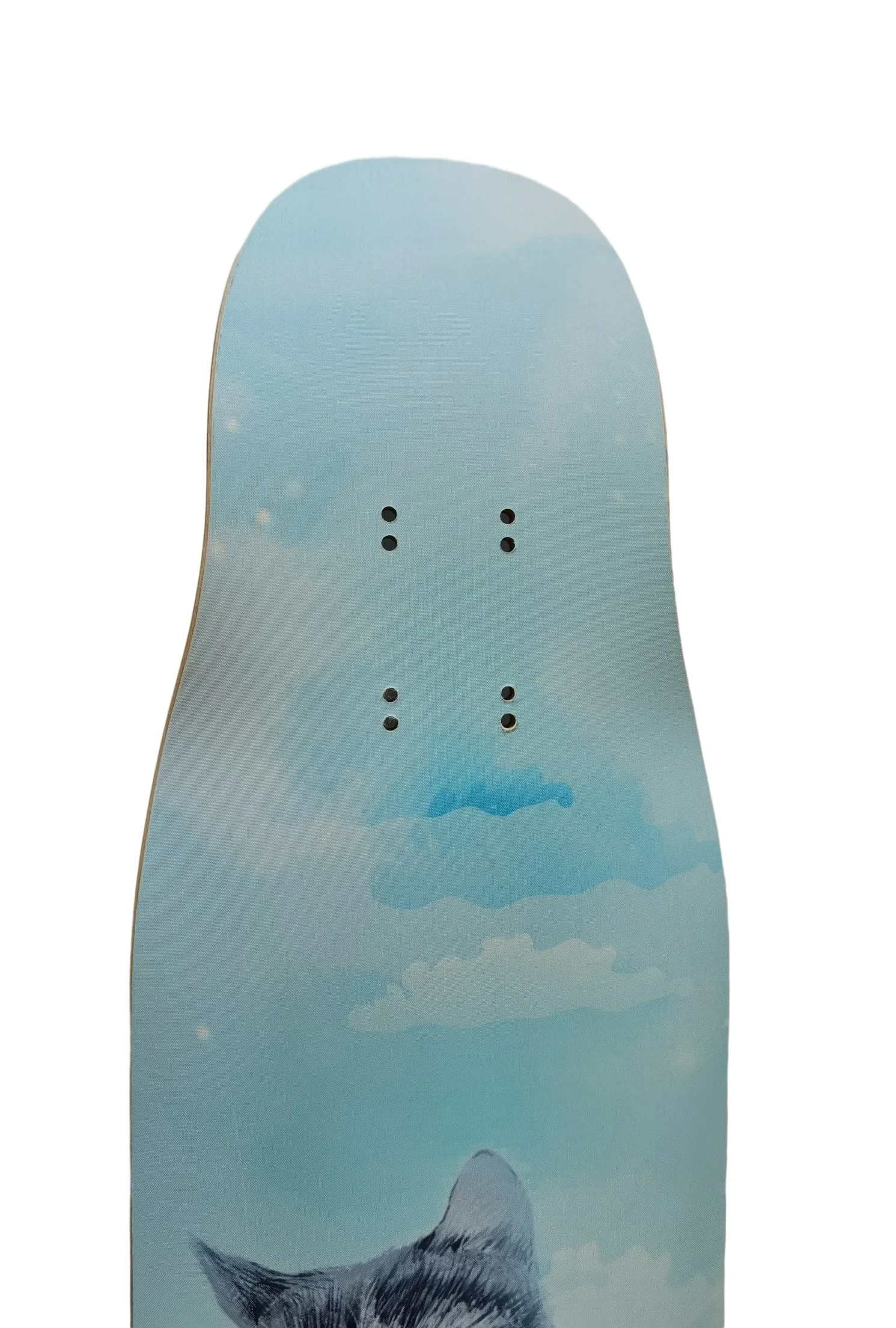 Wholesale/Supplier Drop Through Downhill Dancing Custom Long Board Skateboard