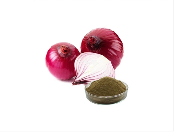 Onion Extract Allium Cepa L Quercetin 5%-20% Ratio Extract