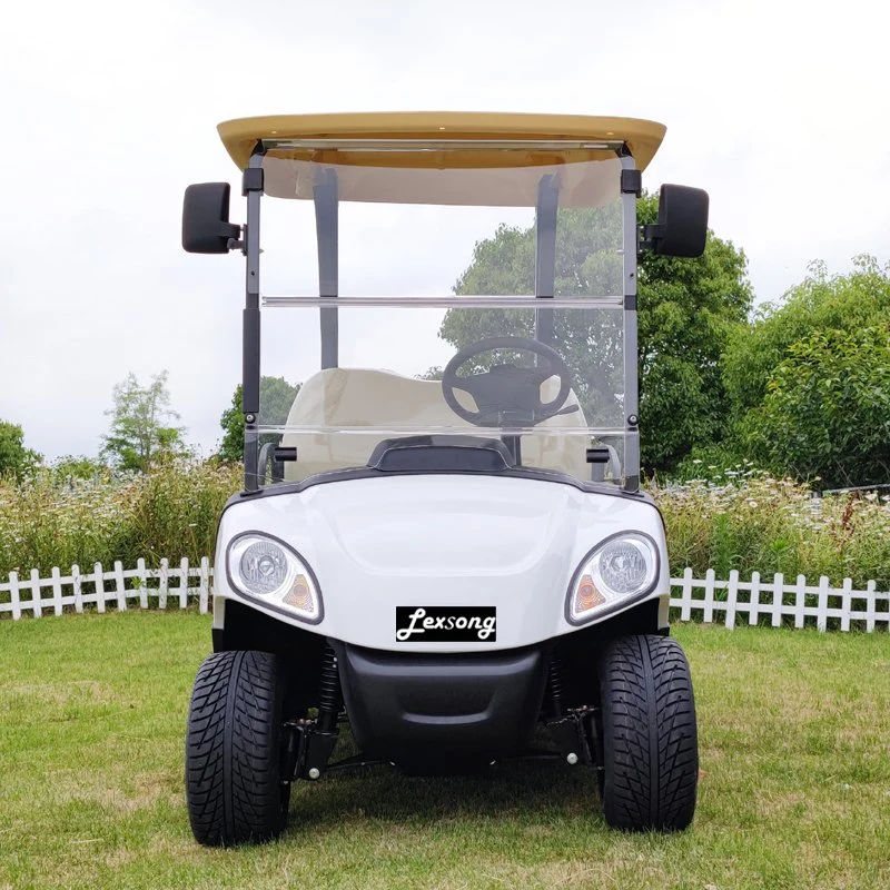 Buena Venta poderosos 4 videntes batería de litio coche de golf eléctrico Vehículo en buggy