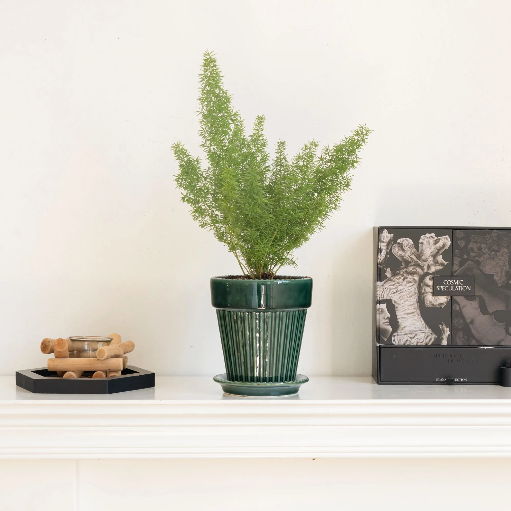 Amostra grátis de vasos redondos de cerâmica para plantas de cactos com prato de decoração básica personalizada para casa, jardim e escritório.