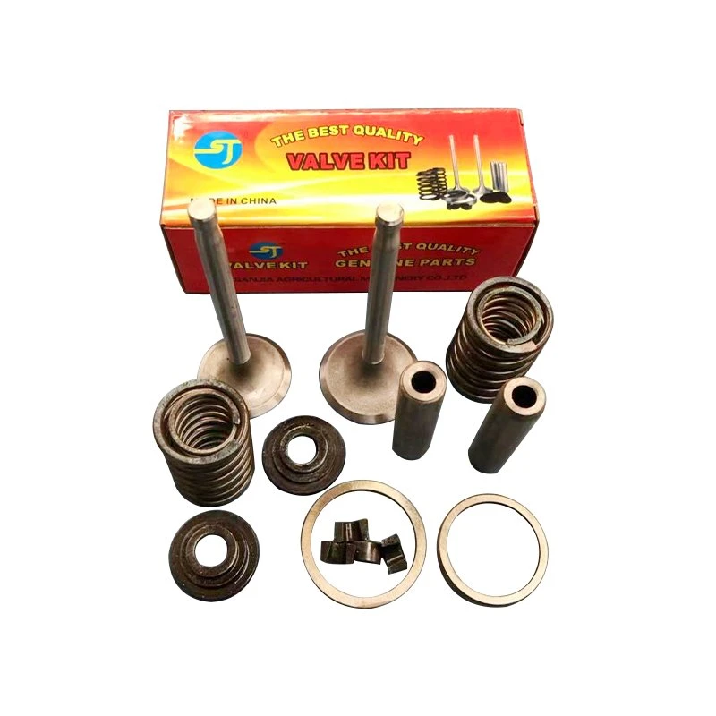 Jiangdong Spare Parts Zh1130 Zh1133 Diesel Engine Parts Valve Set