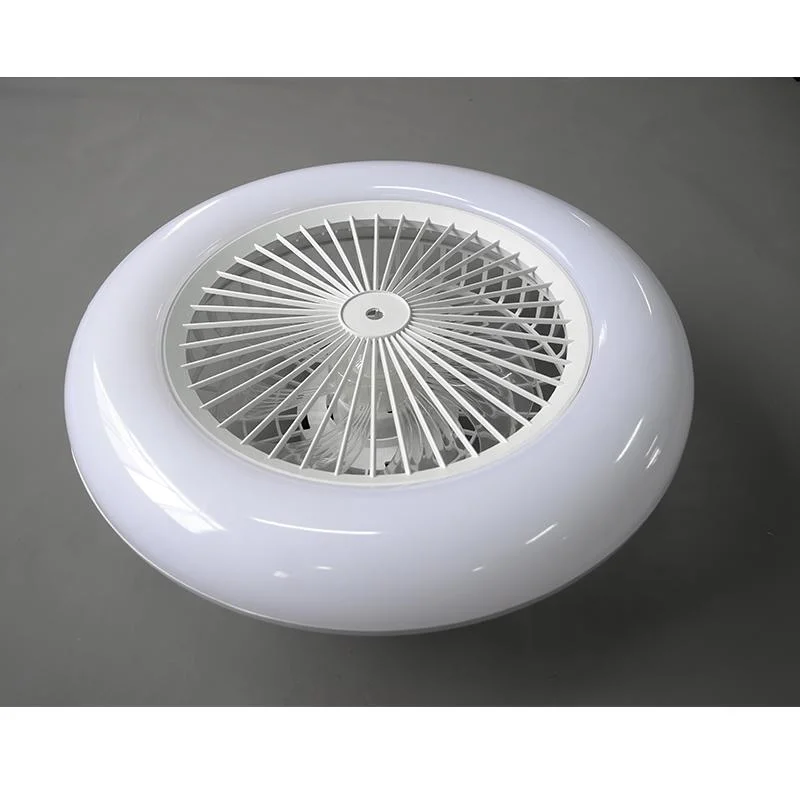 Fan Lamp Remote Control Modern DC LED Ceiling Fans with Light