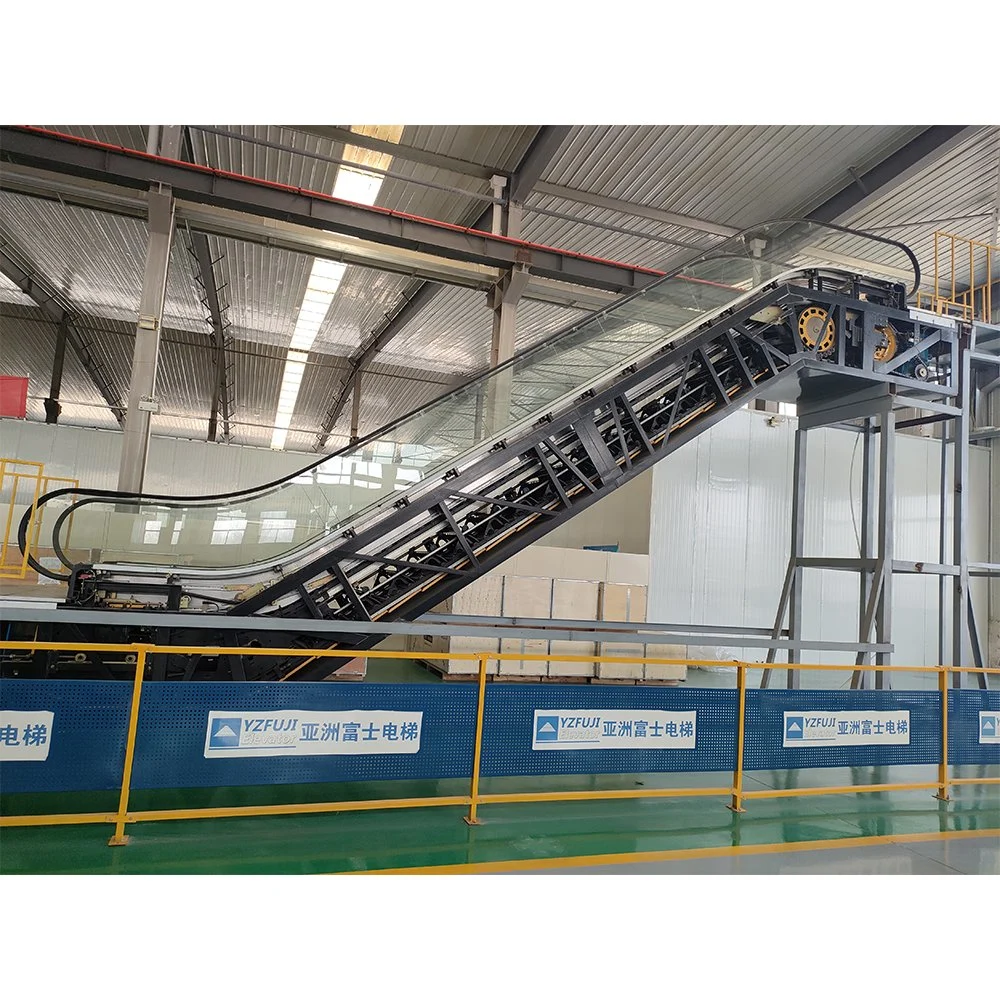 Elevator Lift Machines Cost Hydraulic Outdoor Escalators with 3c