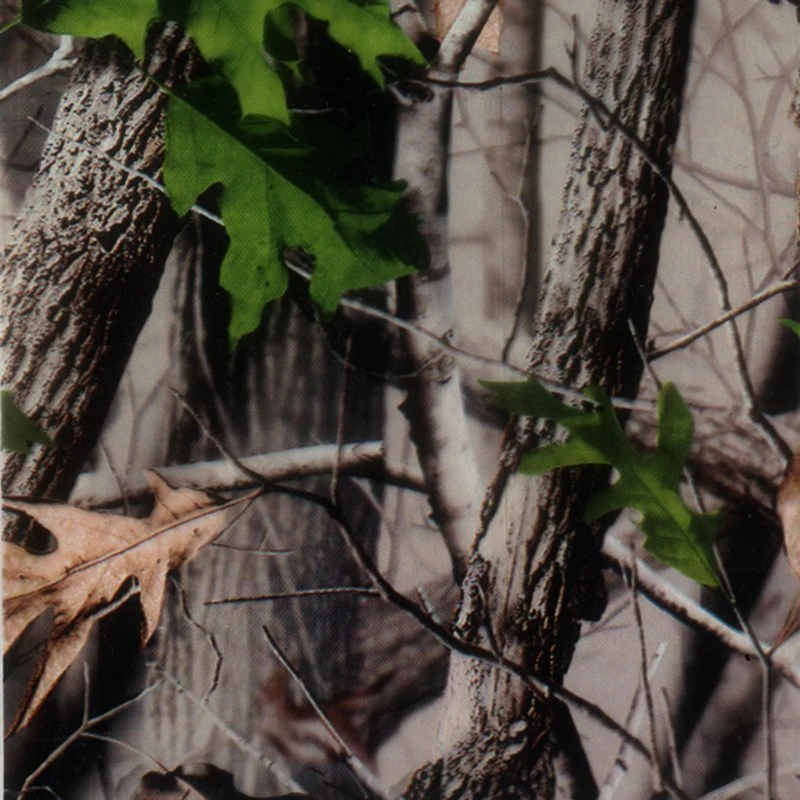 Tsauto Real Tree Camouflage Camo Hydrographic Films transferencia de agua película