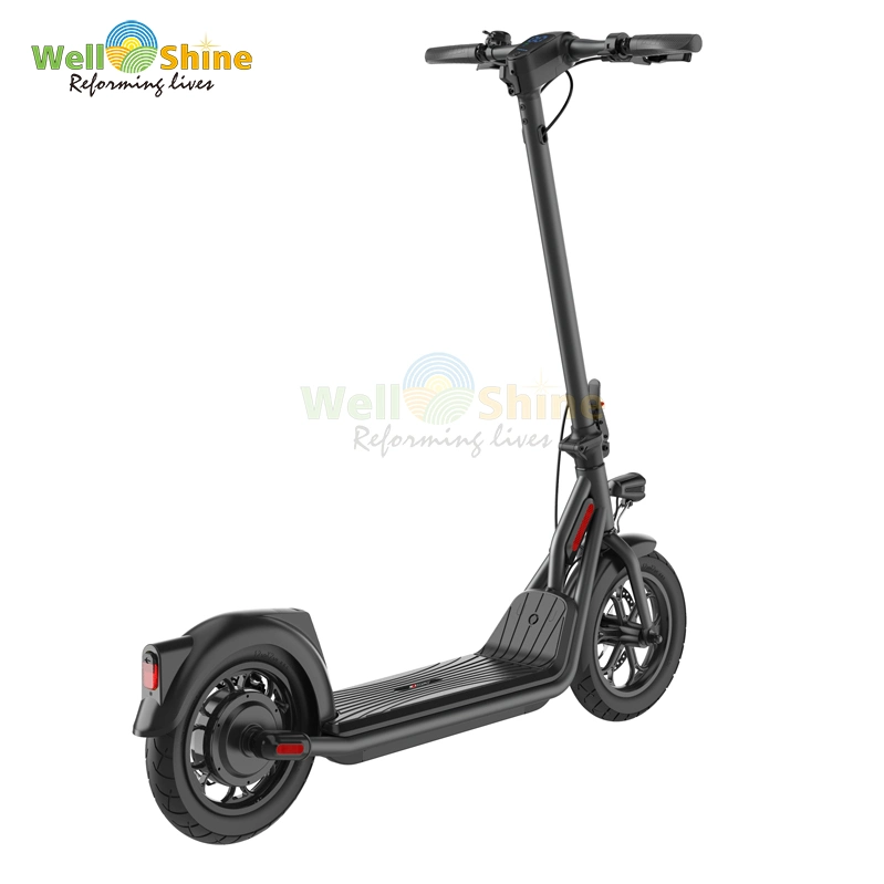 Electric Kick Scooter with Dual Motor for Adults