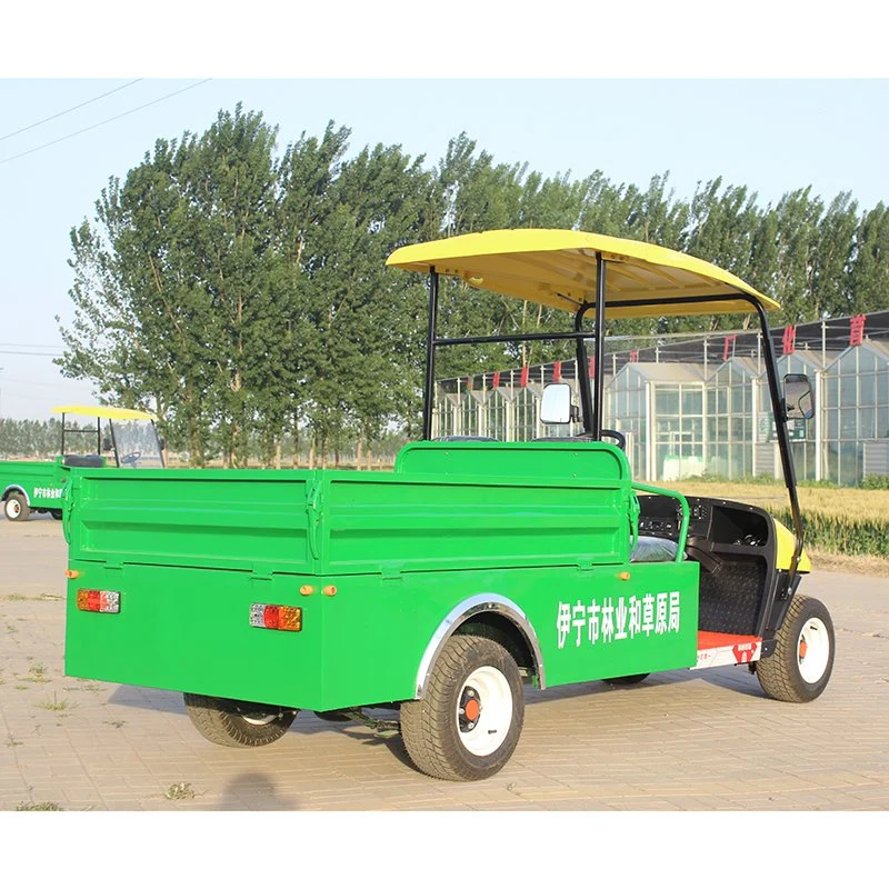 China Manufacturer Cheap Customized 2 Seat Electric Golf Car with Cargo Bucket