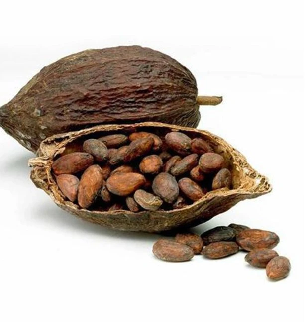 China Supply High quality/High cost performance  Pure Natural Alkalized Cocoa Powder with Best Price