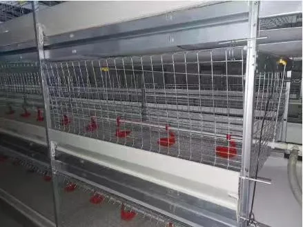 Automatic Layer 3/4 Tiers H/a Type Egg Chicken Cage Poultry Breeding Equipment Chicken Battery/Generator Set Cage with Automatic Defecation Belt/Exhaust
