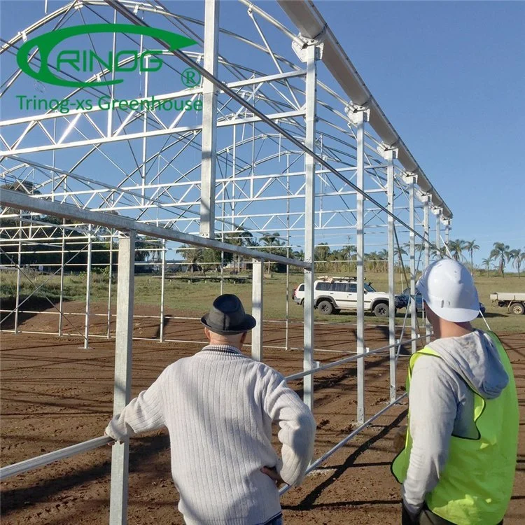 Commercial Film High Tunnel Multi-span Greenhouse