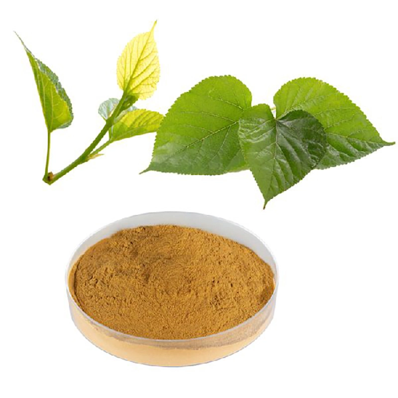 Fssc GMP Best Quality High Pure Nature Hot Sales 4: 1 5: 1 10: 1 20: 1 Mulberry Leaf Health Care Plant Extract for Health Care