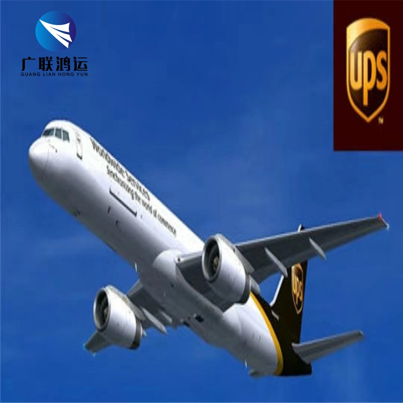 Fast DHL Freight Schedule Forwarder From China to Peru Brazil Professional Delivery Logistics Sea/Air Shipping