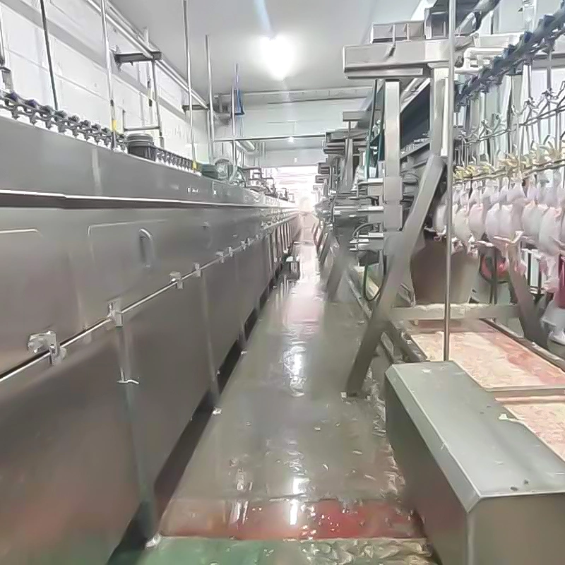 Automatic Poultry Slaughtering House Processing Line Equipment