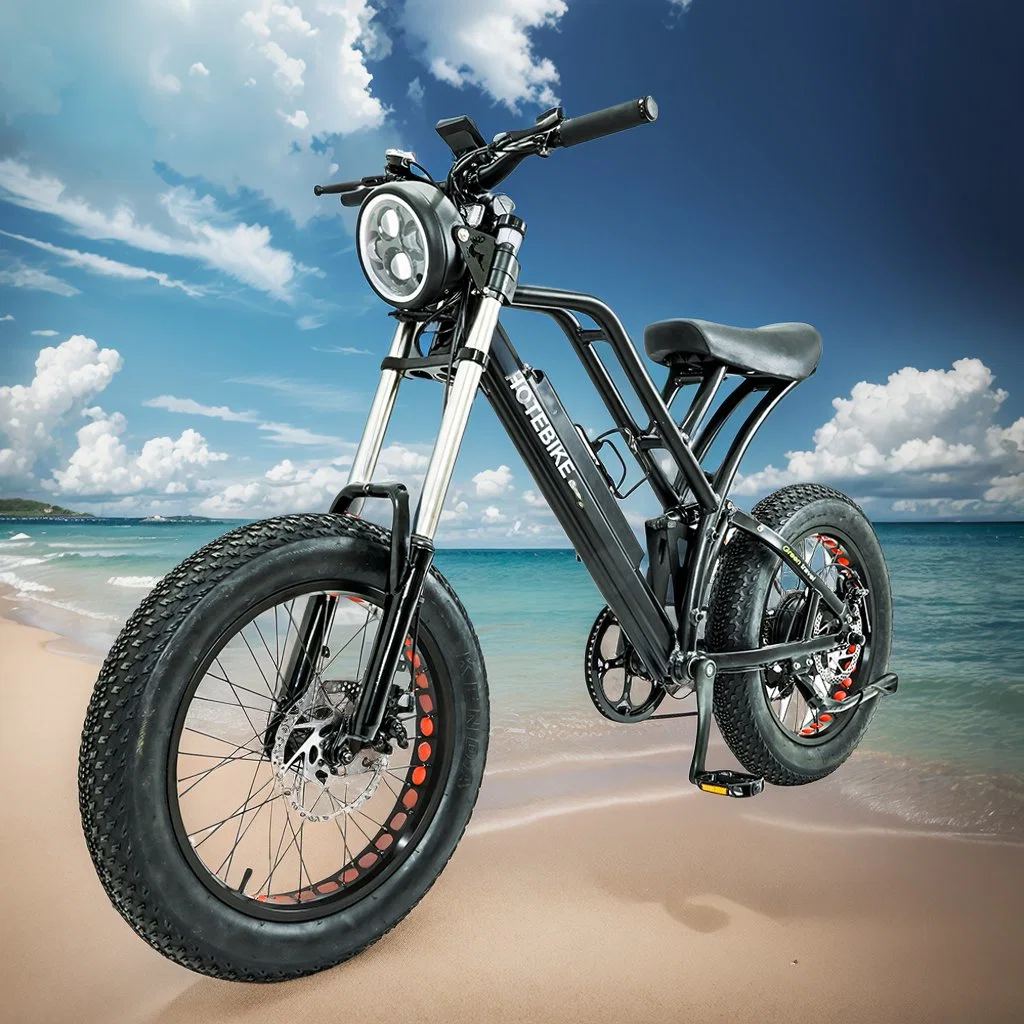 Custom оптовой электрический горных велосипедов Fatbike 20дюйма жир шины электрической Dirtbike новых 20дюйма жир шины E велосипед