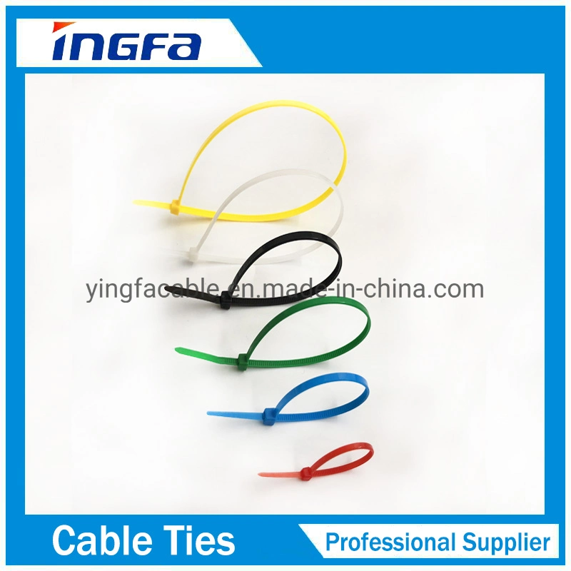 Brida de cable de cabeza de nylon