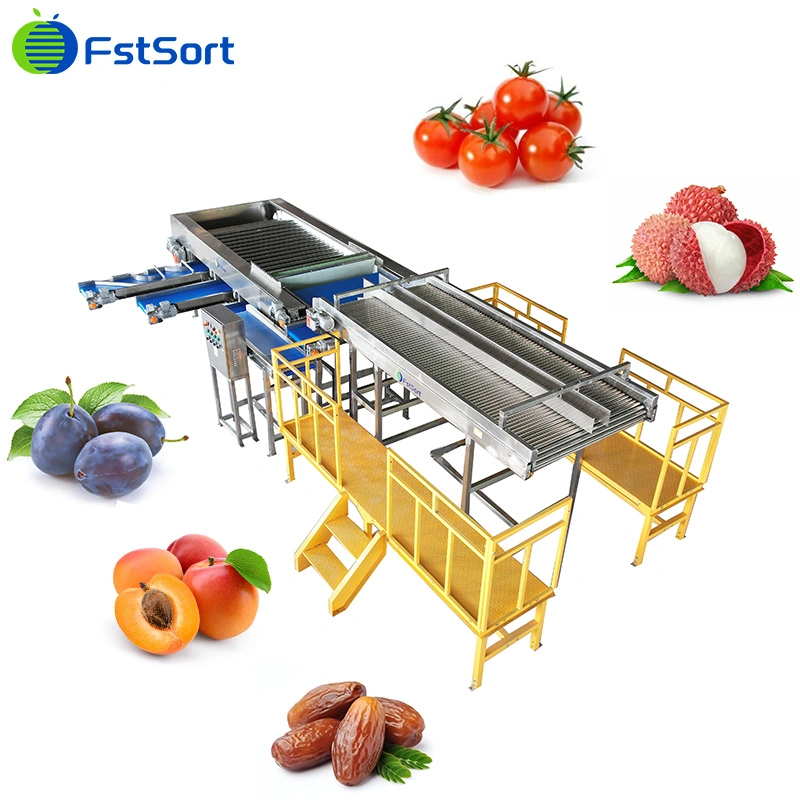 Fstsort Factory Price Olive Sorting Grading Machine Fruit Sorter Grader/ Lychee Grading Classifying Machine/ Olive Caper Grading Sorting Machine